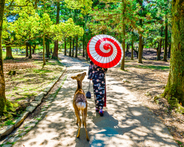 Perfect Nara Day Trip Itinerary From Osaka Or Kyoto Gina Bear S Blog