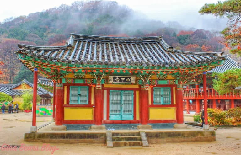 Five Reasons You Need to See Naejangsan's Autumn Foliage - Gina Bear's Blog