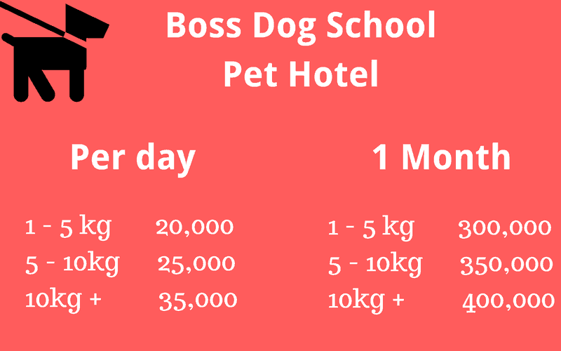 Boss Dog School Pet Hotel-2