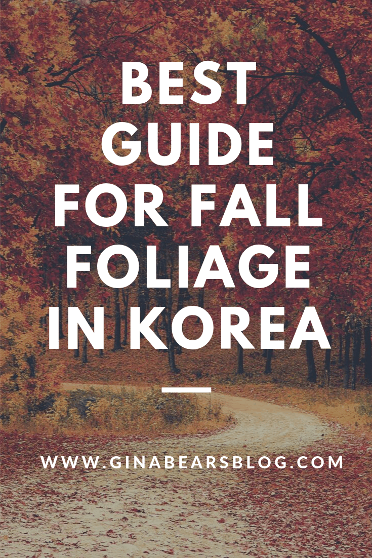 fall foliage in korea 