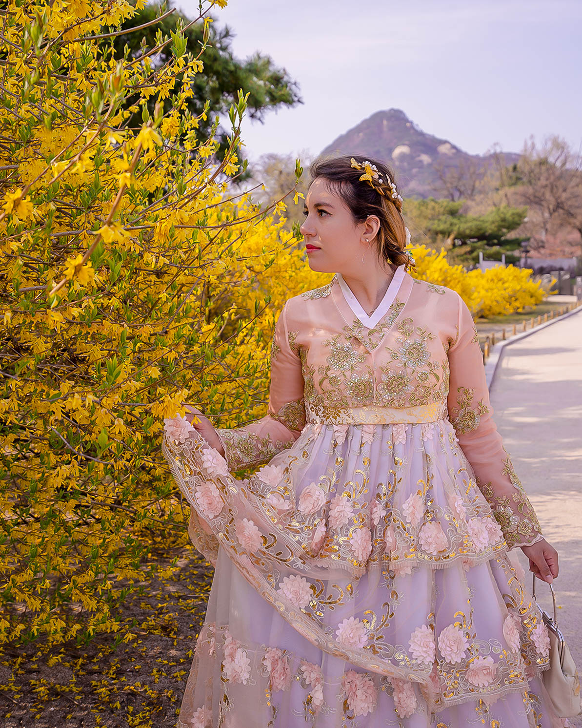 yellow-flowers-gyeongbokgung