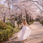 The Ultimate Guide to Spring in Korea 2022