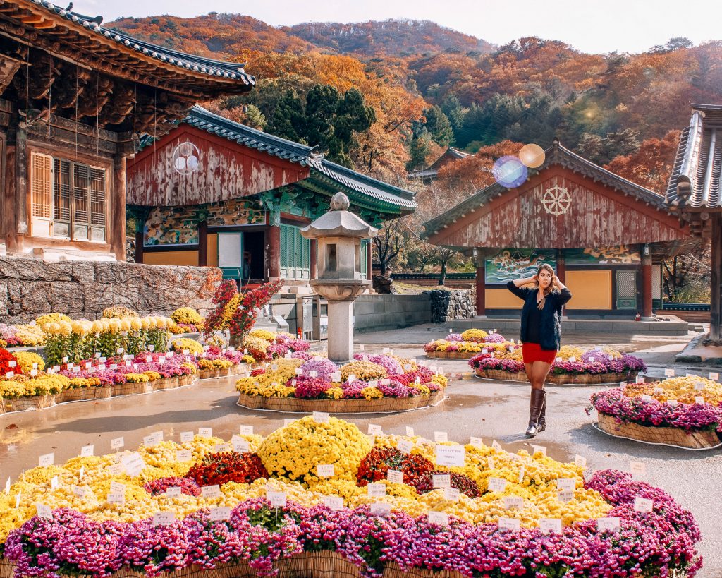 photos to inspire you to visit korea