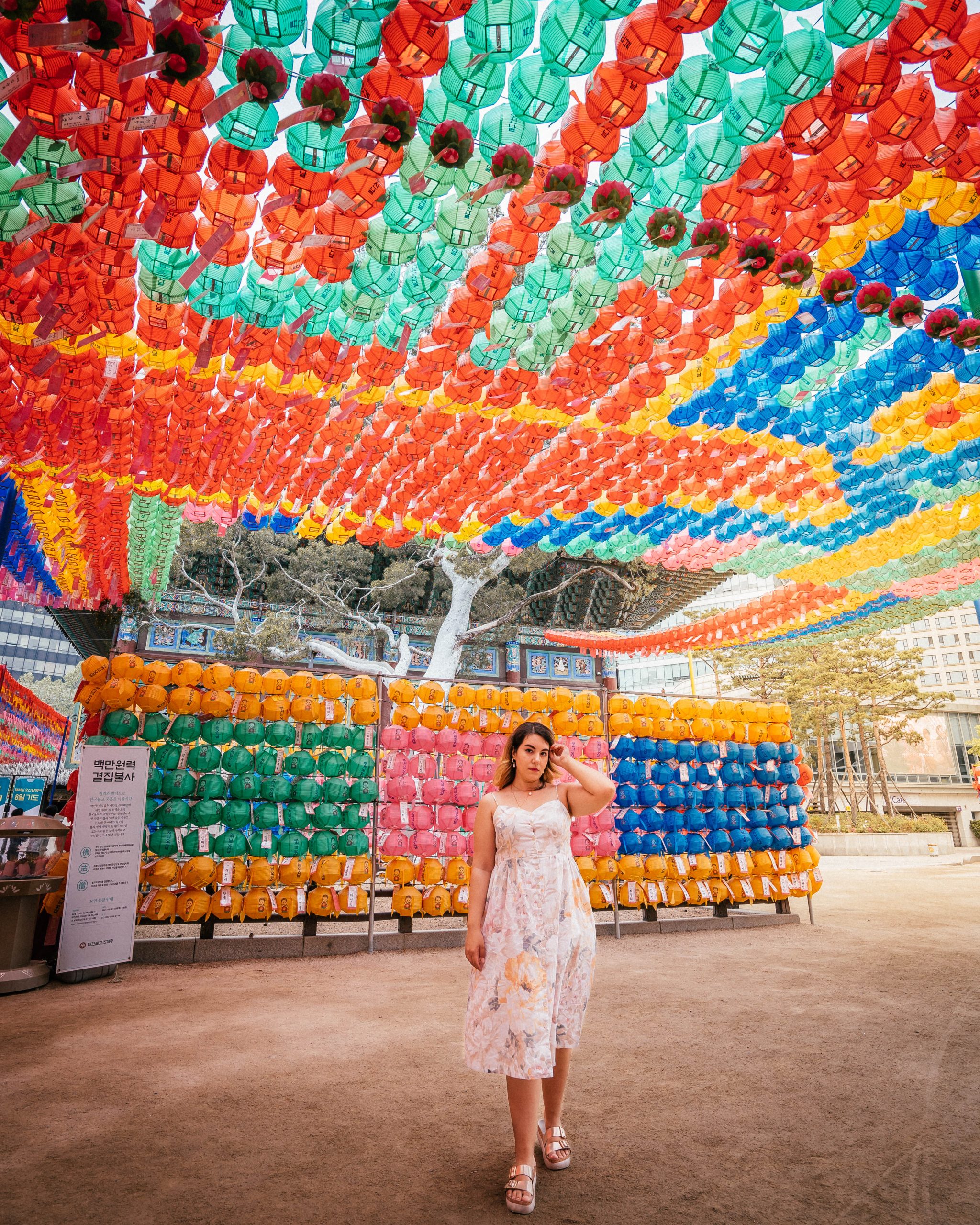 jogyesa-temple-buddha-birthday