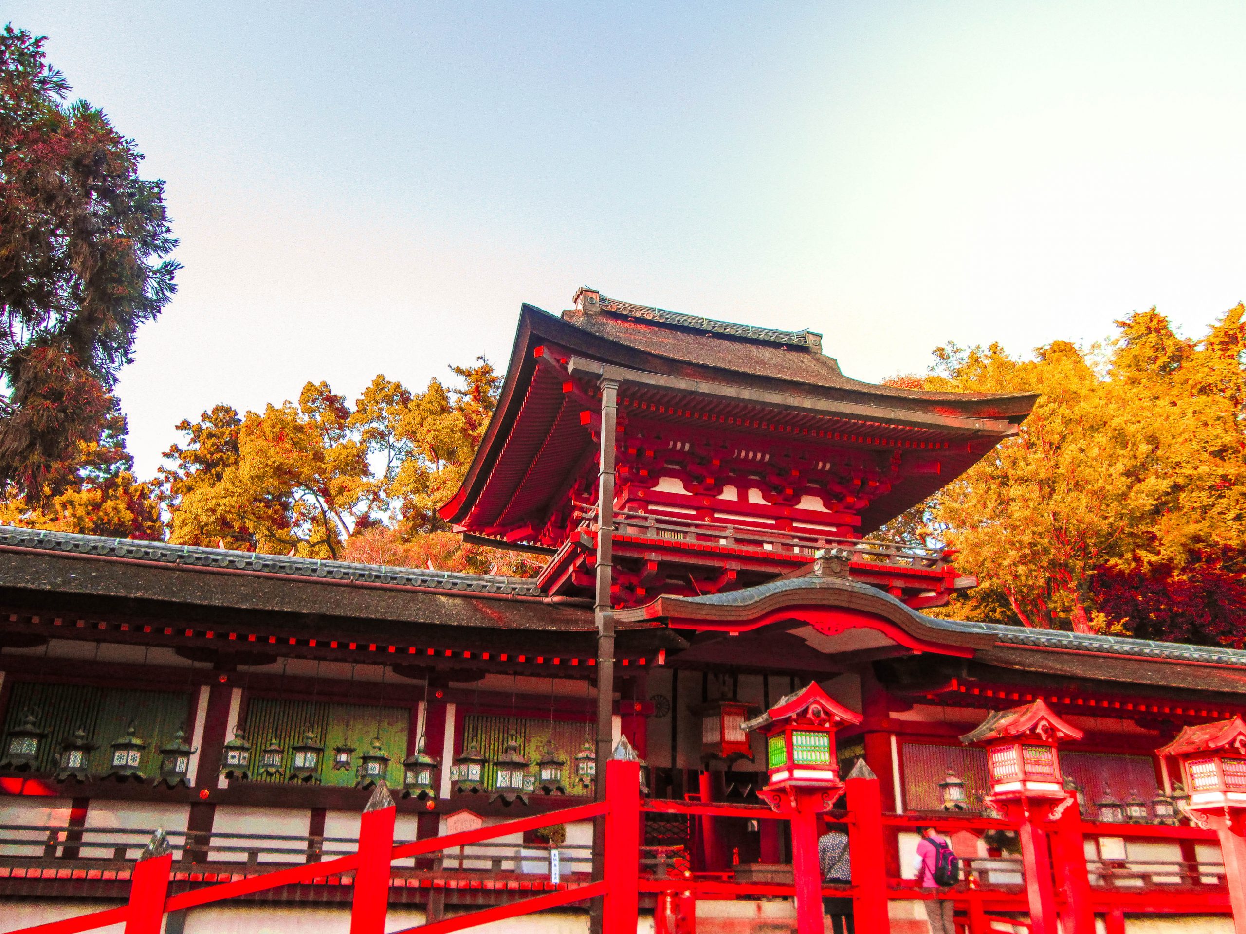 kasuga-shrine