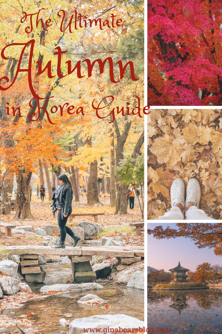 autumn in korea guide