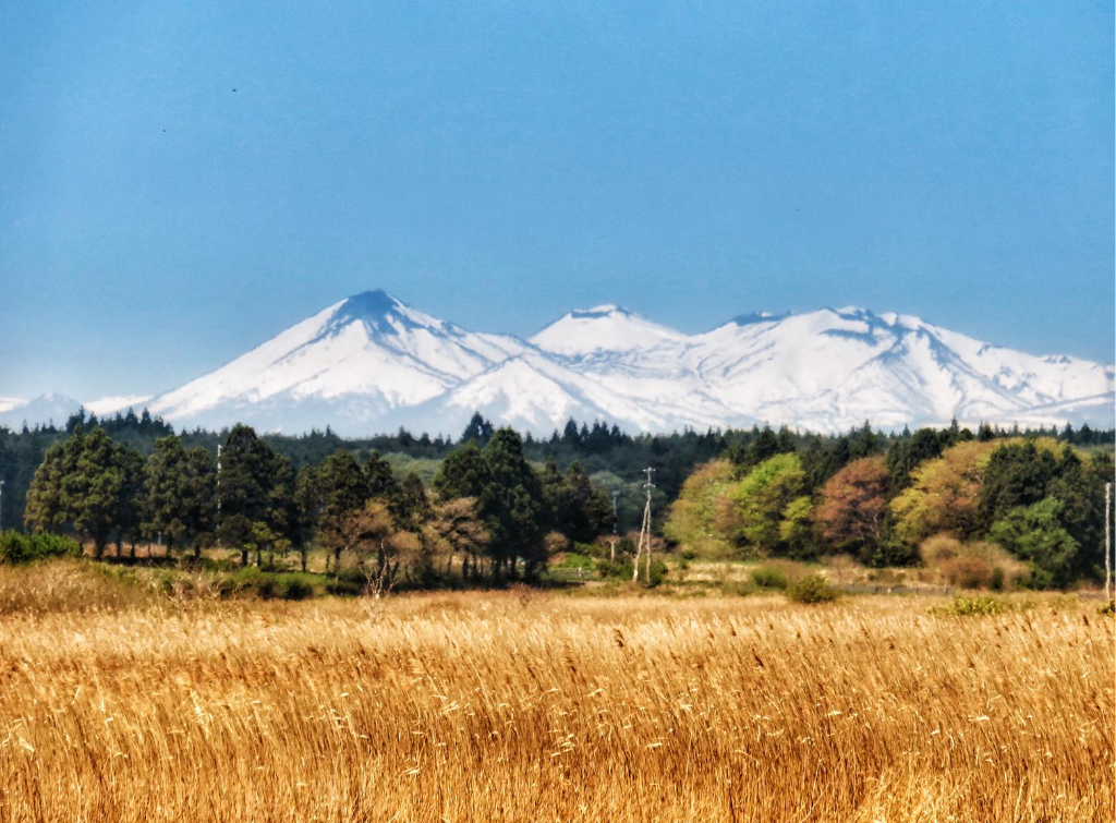 Aomori-Autumn