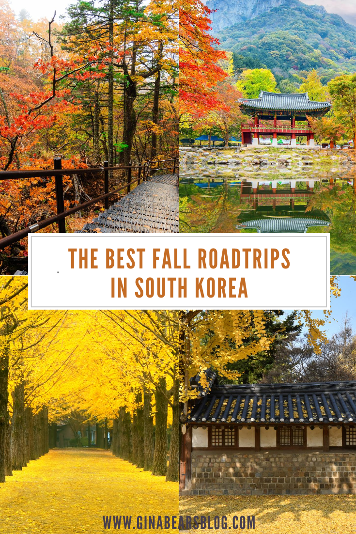 Autumn-Road-Trips-in-Korea - Gina Bear's Blog