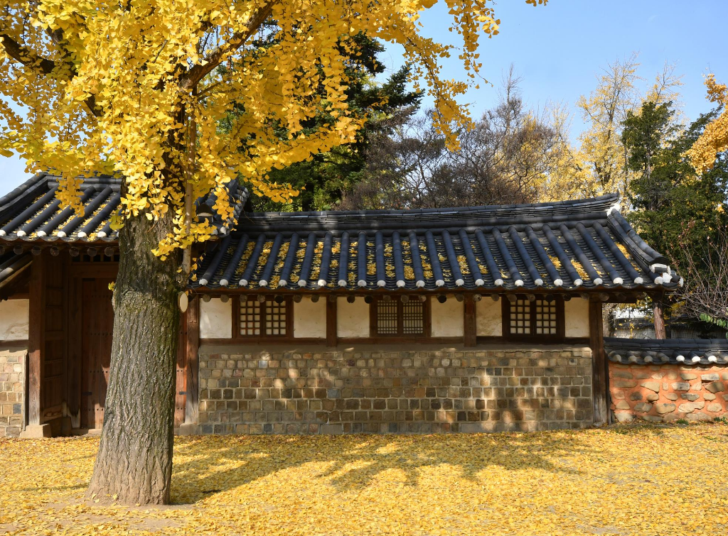 Jeonju