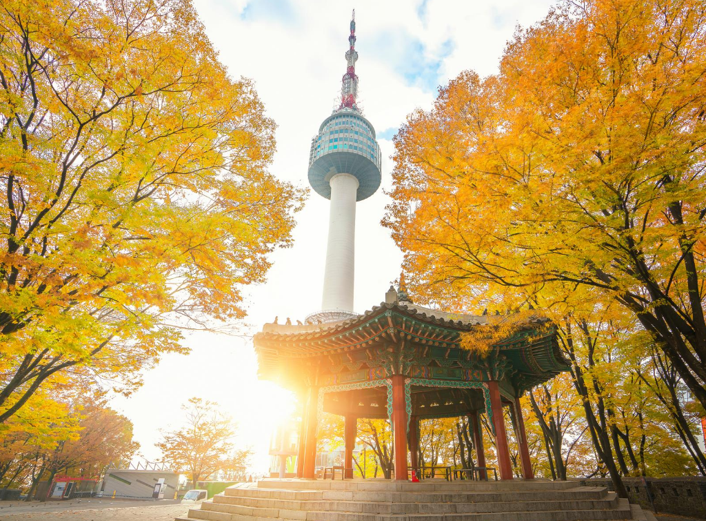 Seoul-Autumn - Gina Bear's Blog