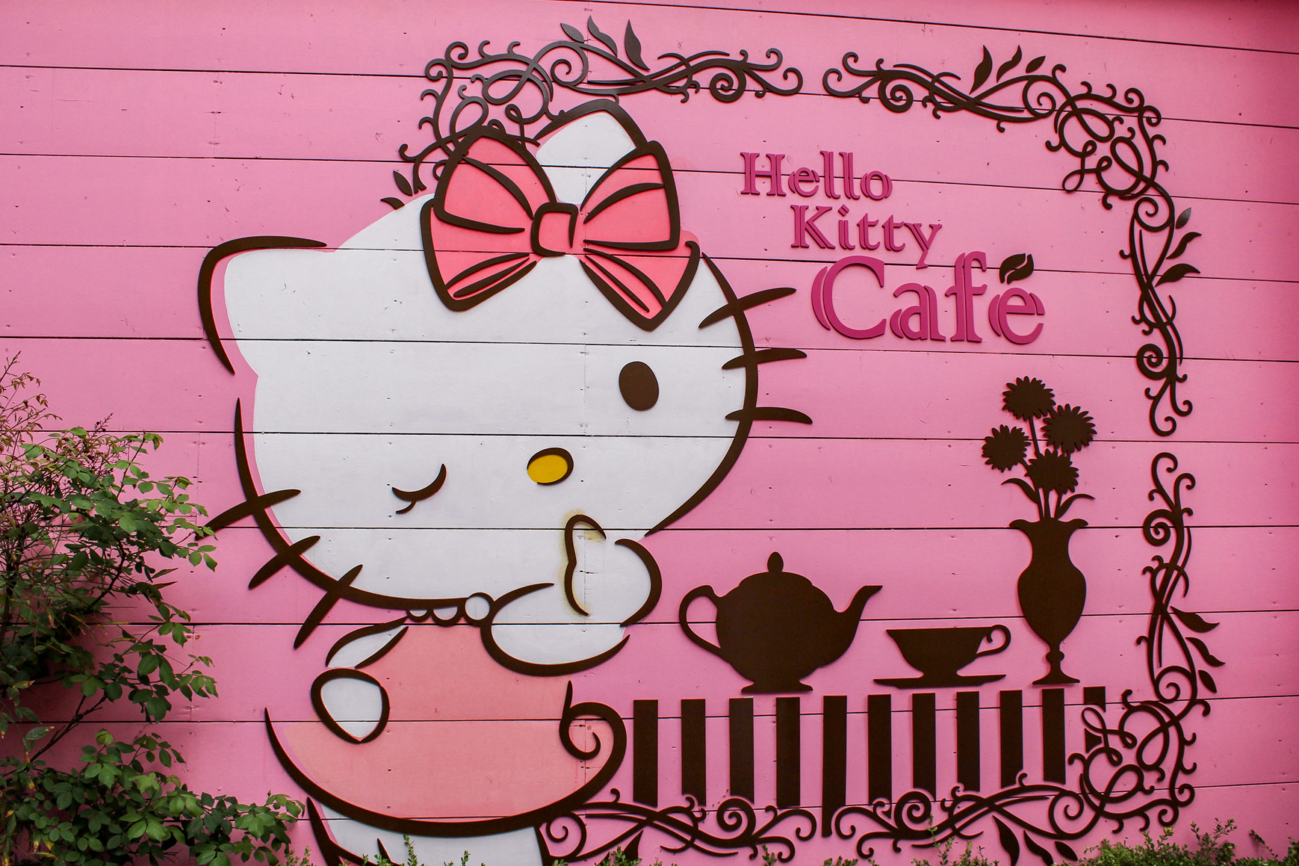 Hello kitty  Kitty cafe, Hello kitty house, Hello kitty