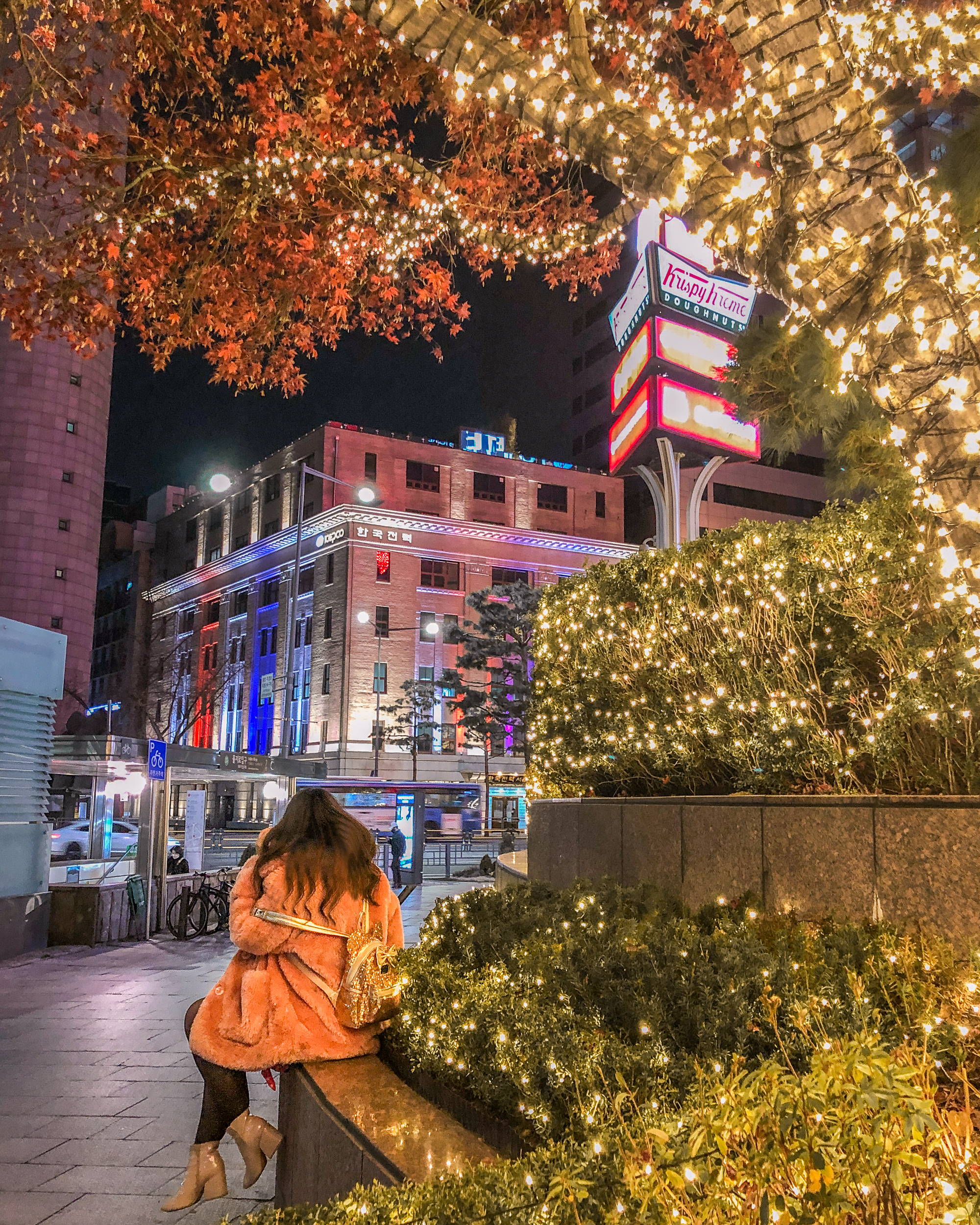 christmas lights in myeongdong