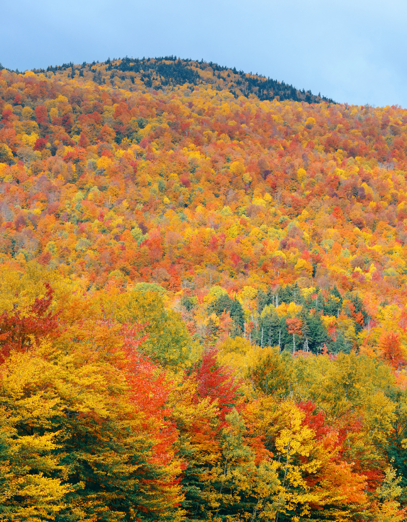 white-mountains-fall-foliage-tour