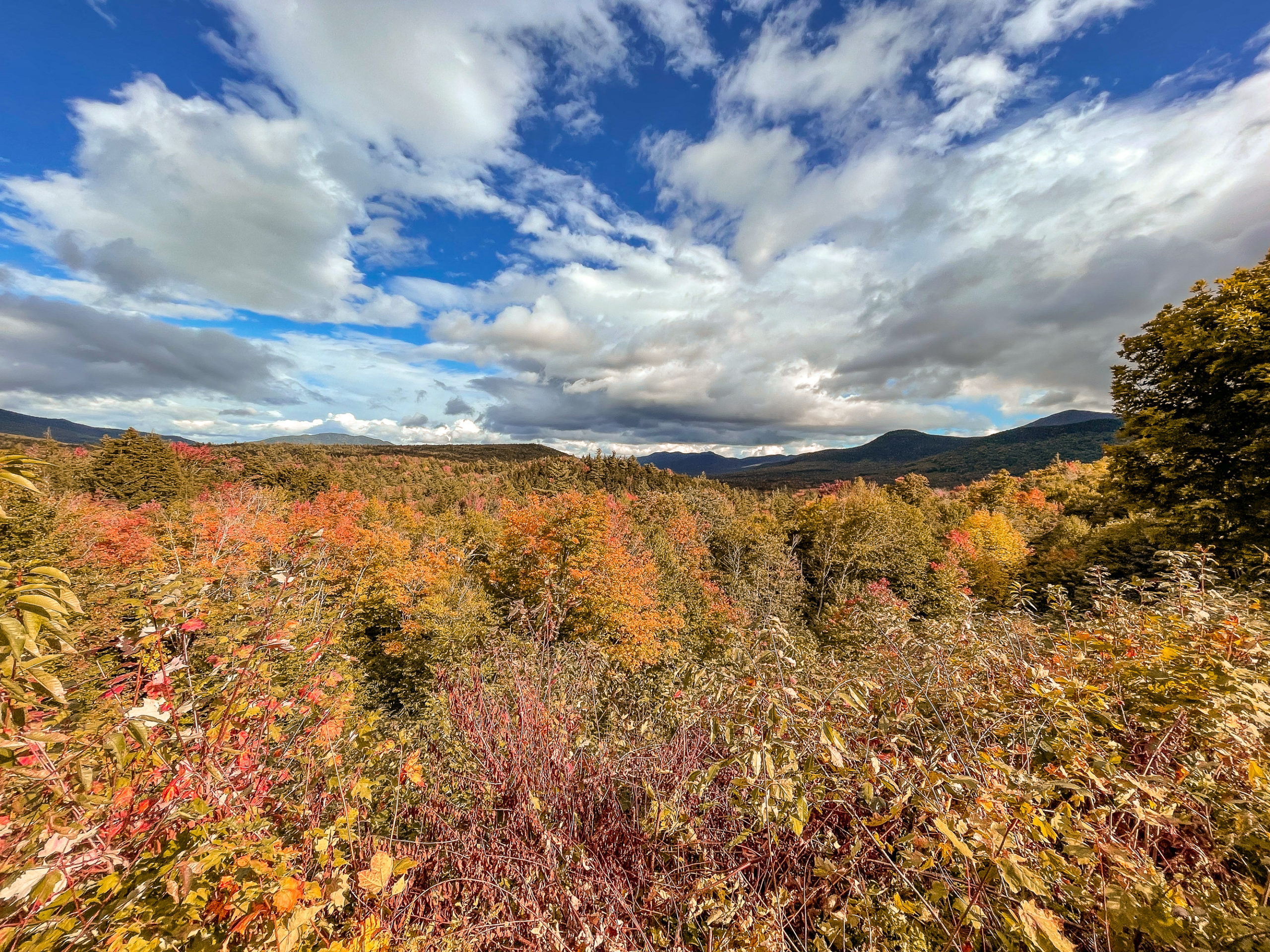 kancamagus-highway