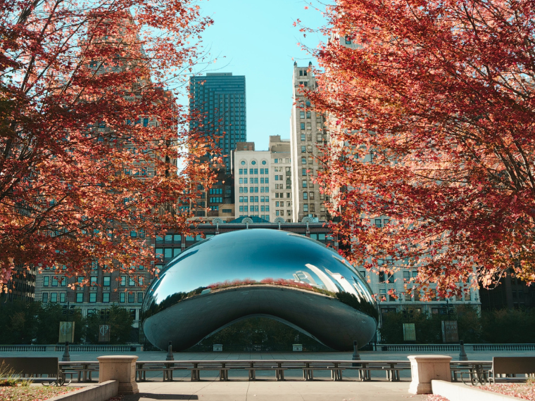 where-to-see-fall-foliage-in-chicago-1