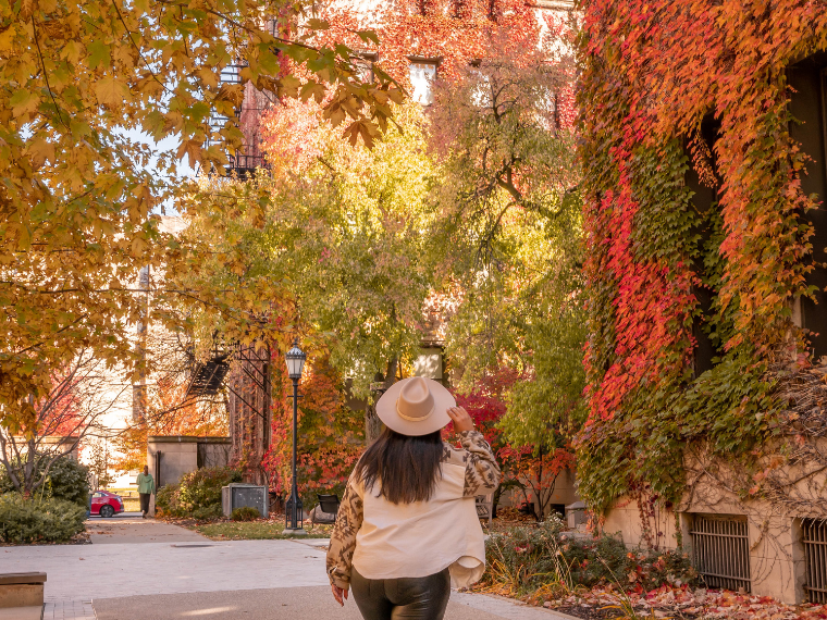 fall-foliage-chicago-university-of-chicago