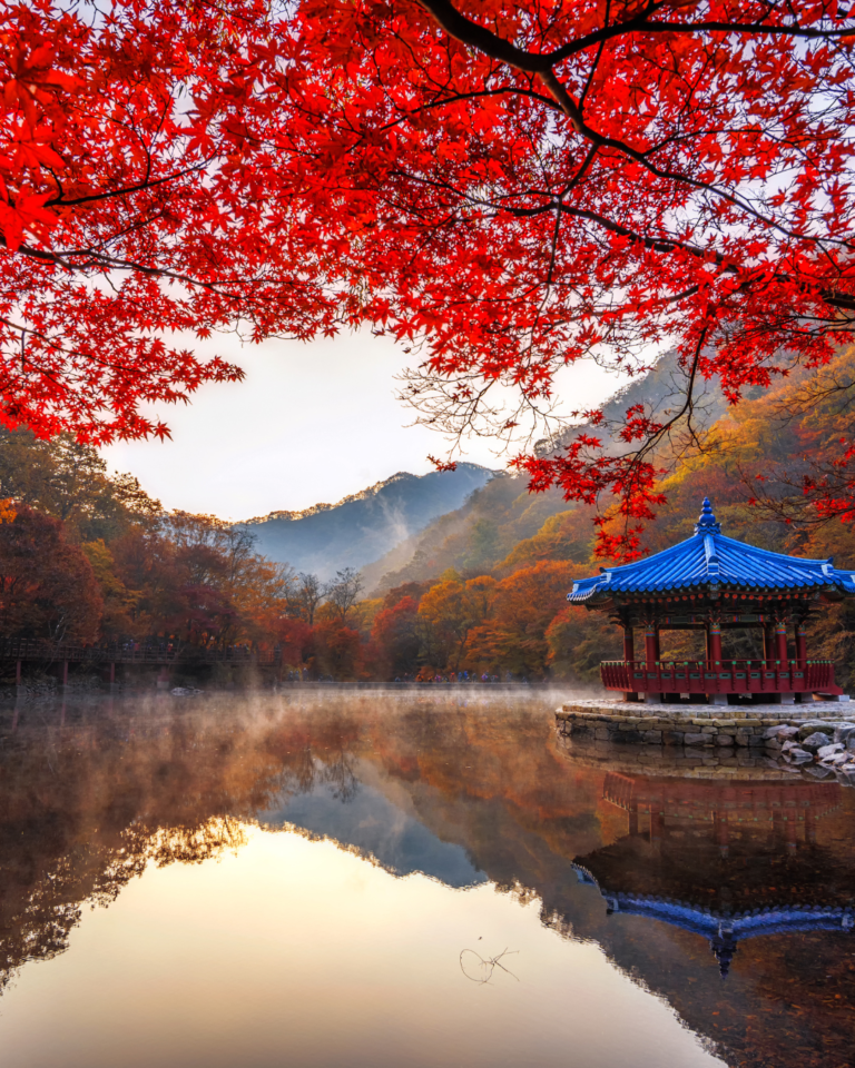 The Ultimate Guide To Autumn in Korea - Gina Bear's Blog