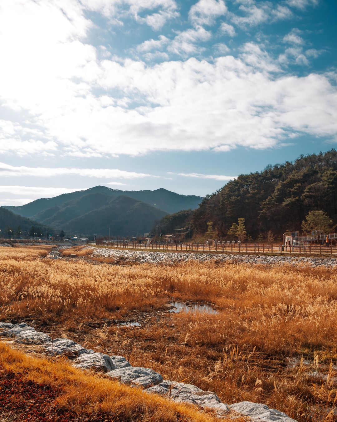 Songnisan National Park South Korea in Autumn