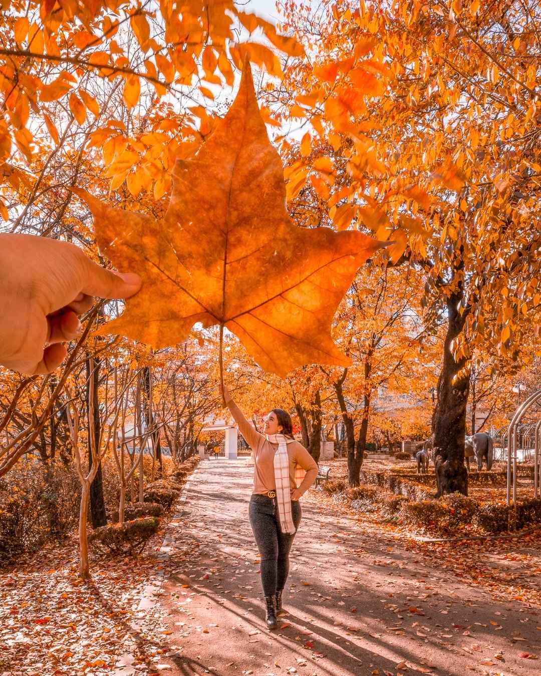 leaf ballon autumn photoshoot inspiration