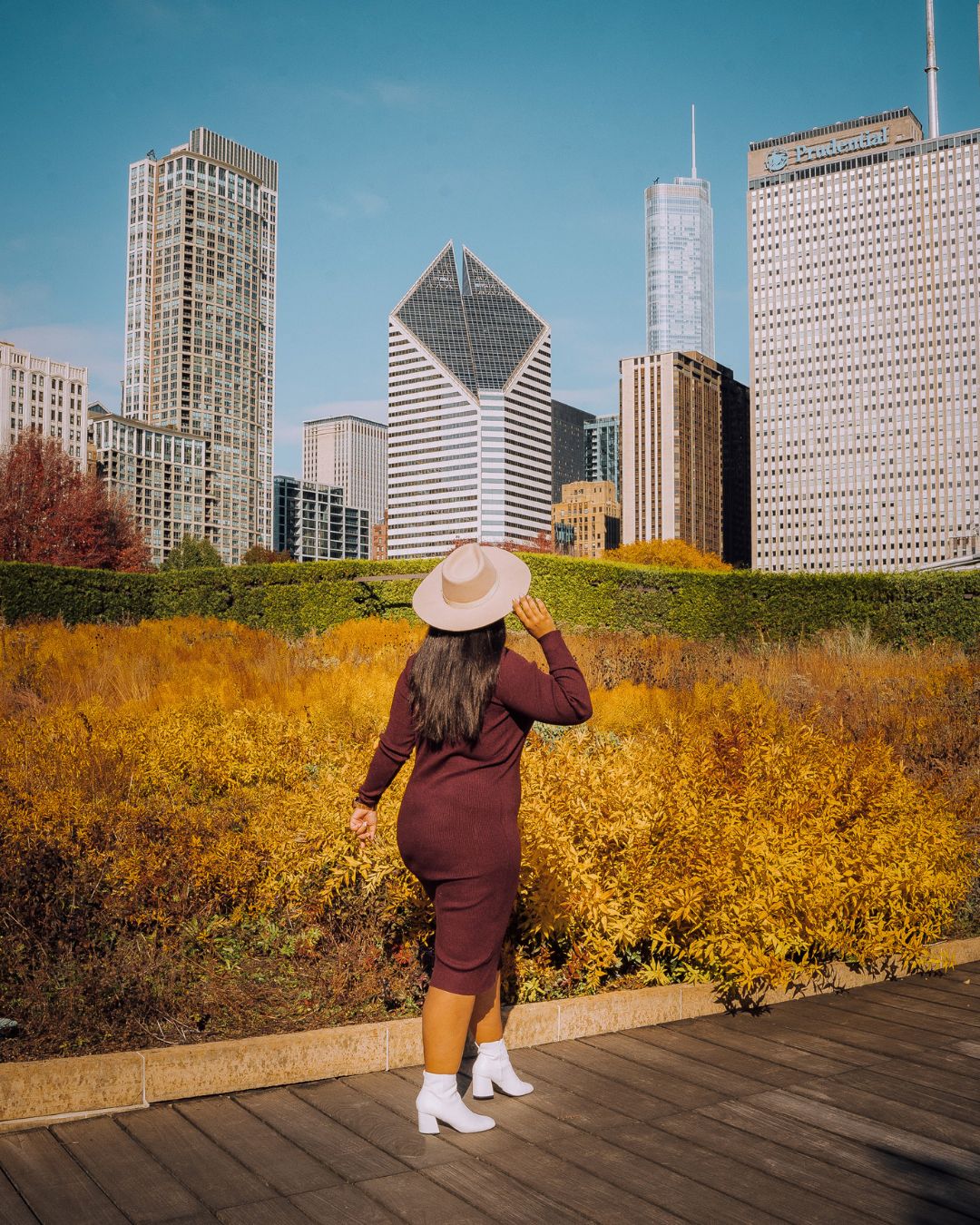 lurie garden during autumn in chicago