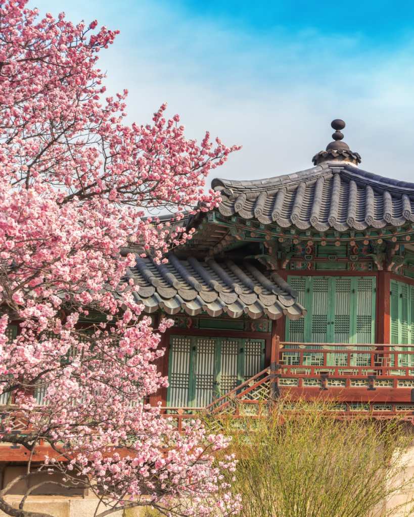 changdeokgung palace spring