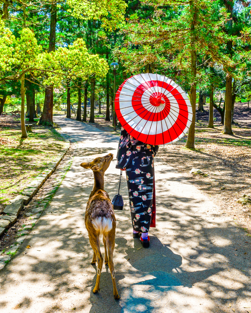 solo travel to japan female reddit