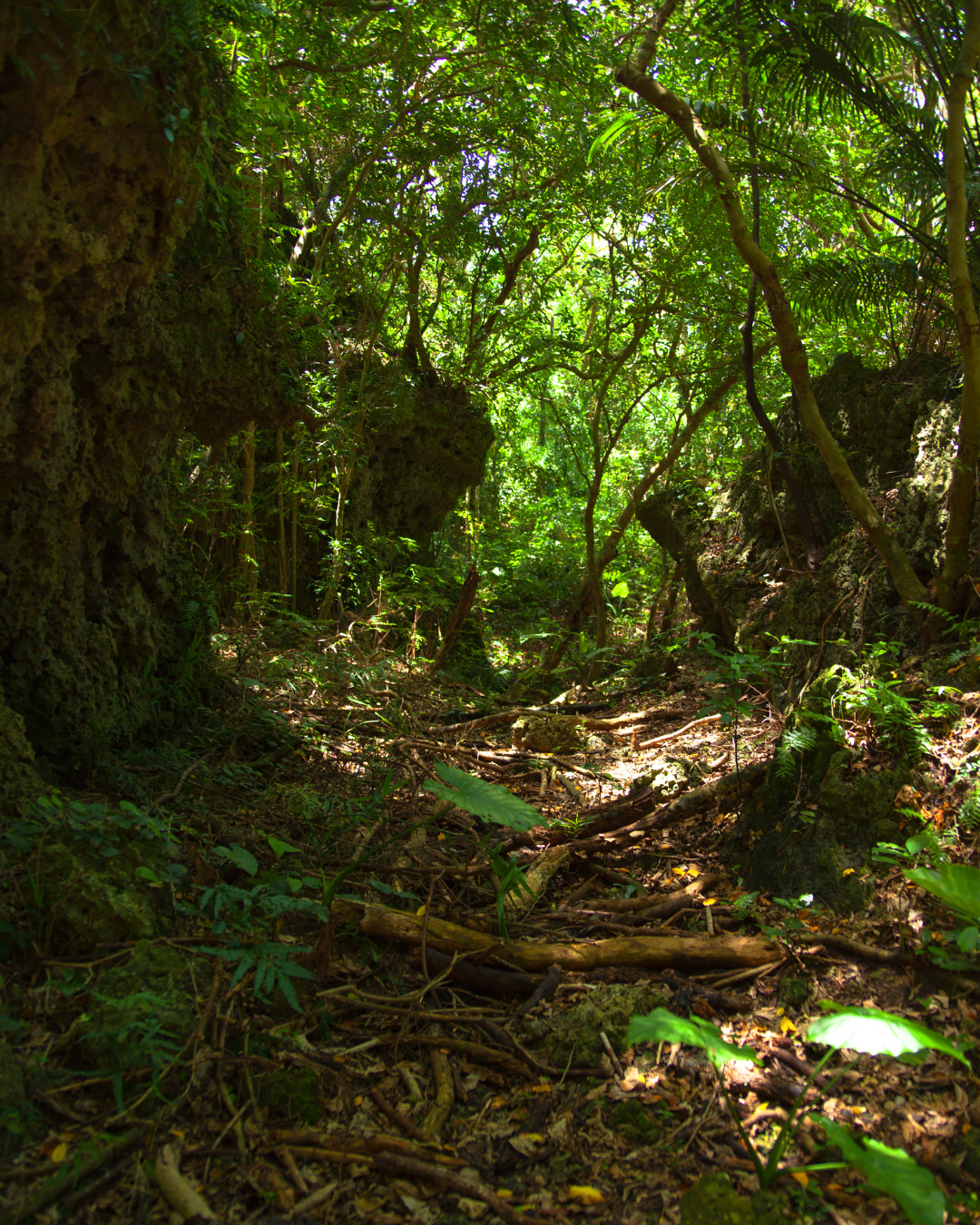 Sefa-Utaki-Okinawa-5-day-itinerary