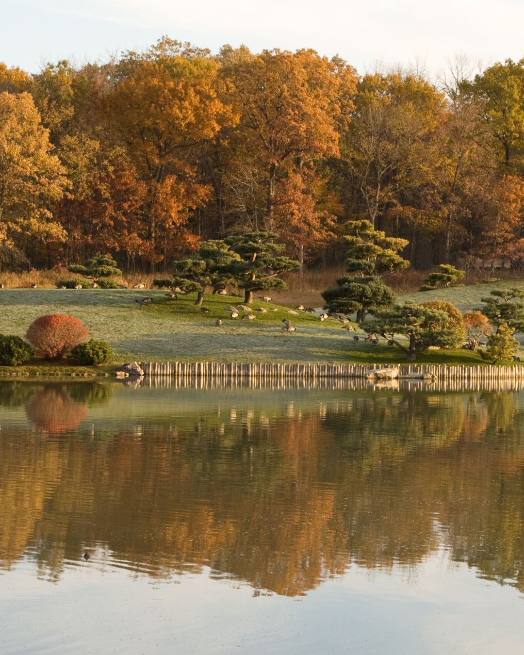 chicago botanic garden autumn